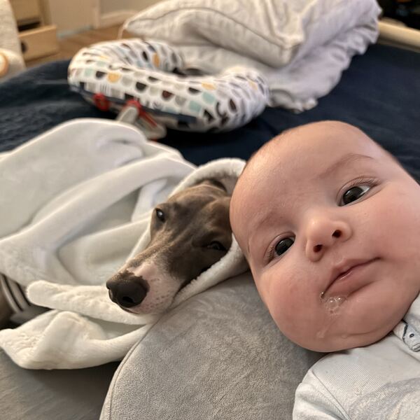 The kid and the iggy