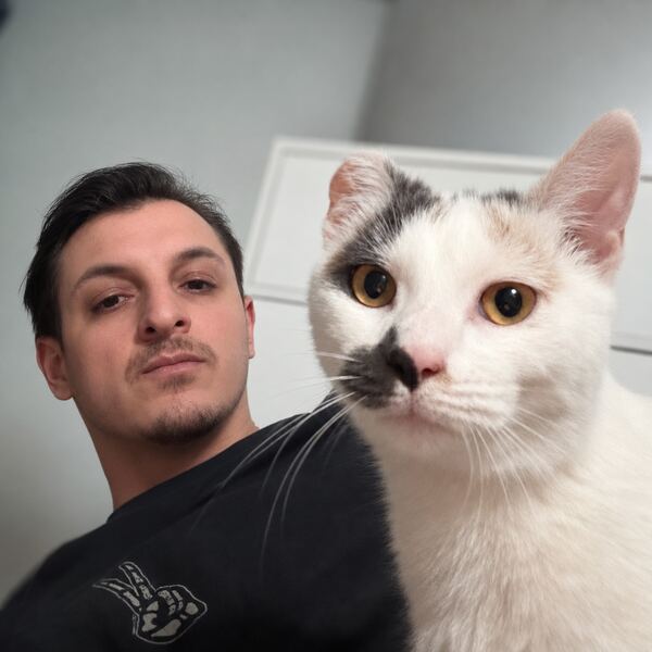 Cat selfie